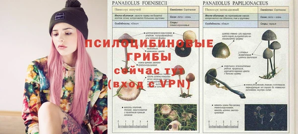 ECSTASY Абдулино