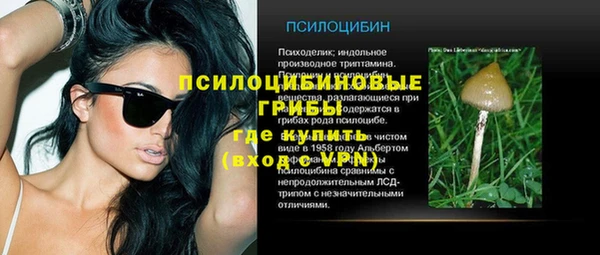стаф Алексеевка