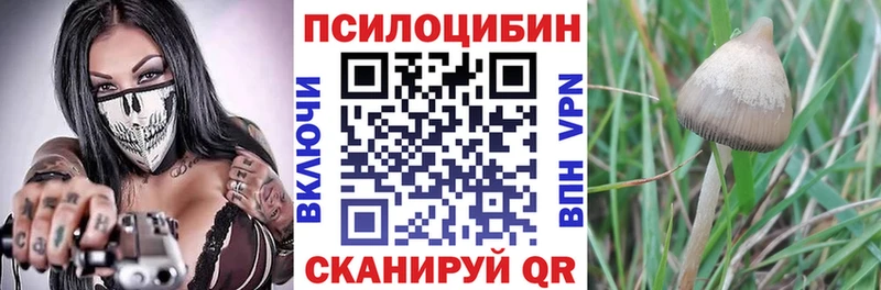 Галлюциногенные грибы Cubensis  дарнет шоп  Динская 